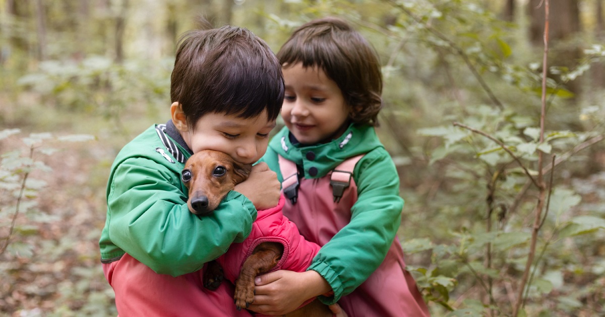 20 ejemplos de solidaridad fáciles de entender para los niños